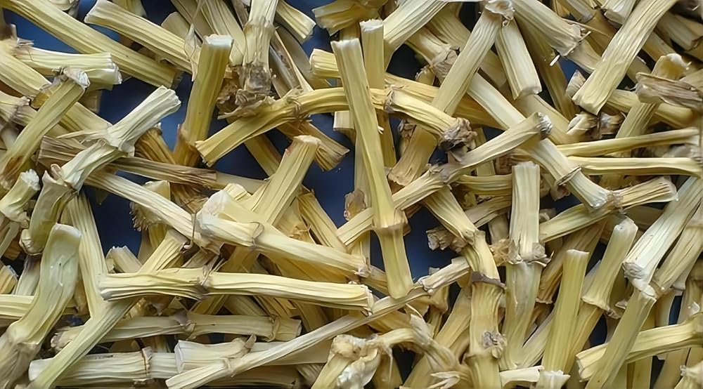 Sweet Post Dried Lalang Grass Rhizome - 16 oz - image 3