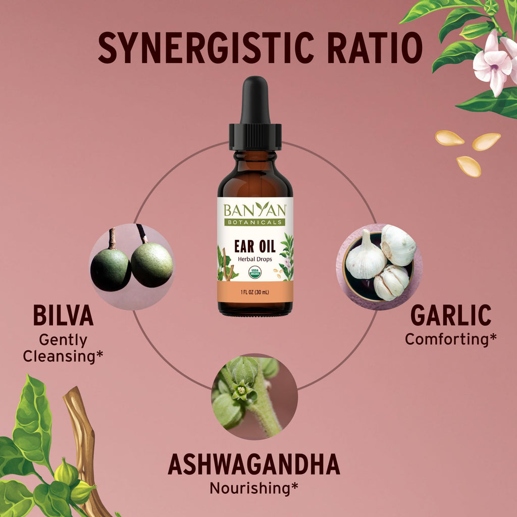 Banyan Botanicals Ear Oil with Ashwagandha and Garlic - 1 oz - image 2