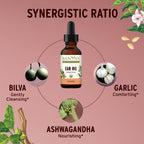 Banyan Botanicals Ear Oil with Ashwagandha and Garlic - 1 oz - image 2