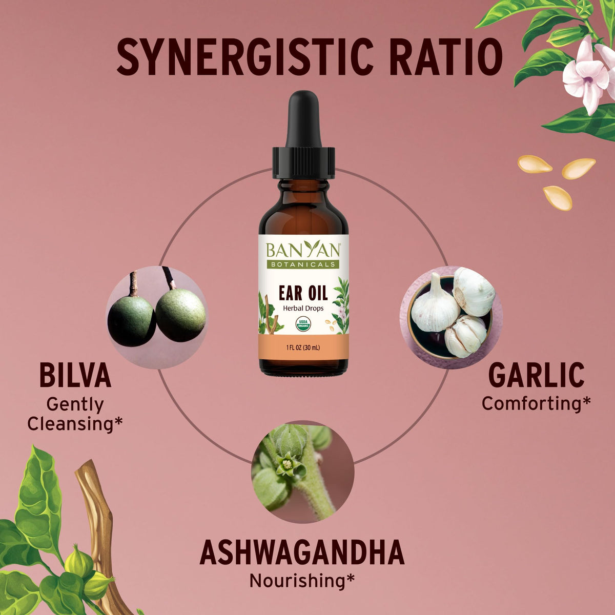 Banyan Botanicals Ear Oil with Ashwagandha and Garlic - 1 oz - image 2