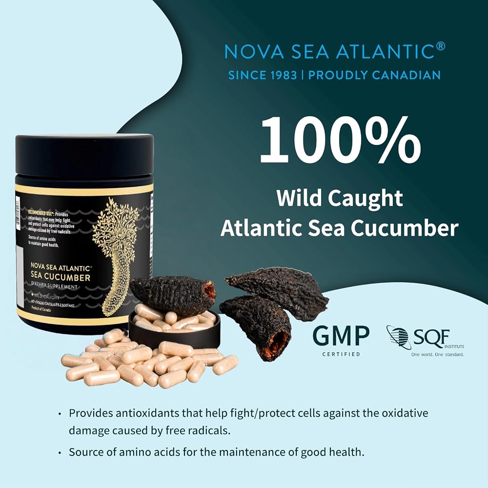 Nova Sea Atlantic Wild Caught Sea Cucumber Capsules - 120 Count - image 2