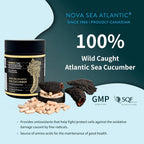 Nova Sea Atlantic Wild Caught Sea Cucumber Capsules - 120 Count - image 2