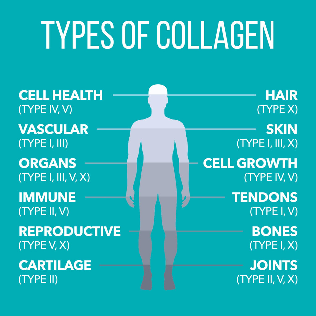 Nature's Plus NaturesPlus Collagen Peptides - Hair