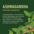 Banyan Botanicals Organic Ashwagandha 1000mg - 90 Tablets - image 7