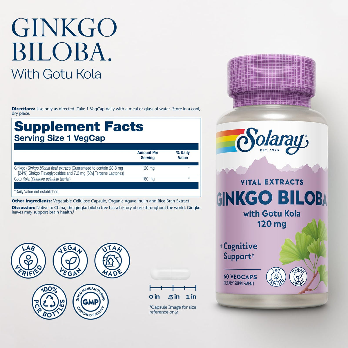 SOLARAY Ginkgo Biloba Extract with Gotu Kola - Ginko Biloba Capsules