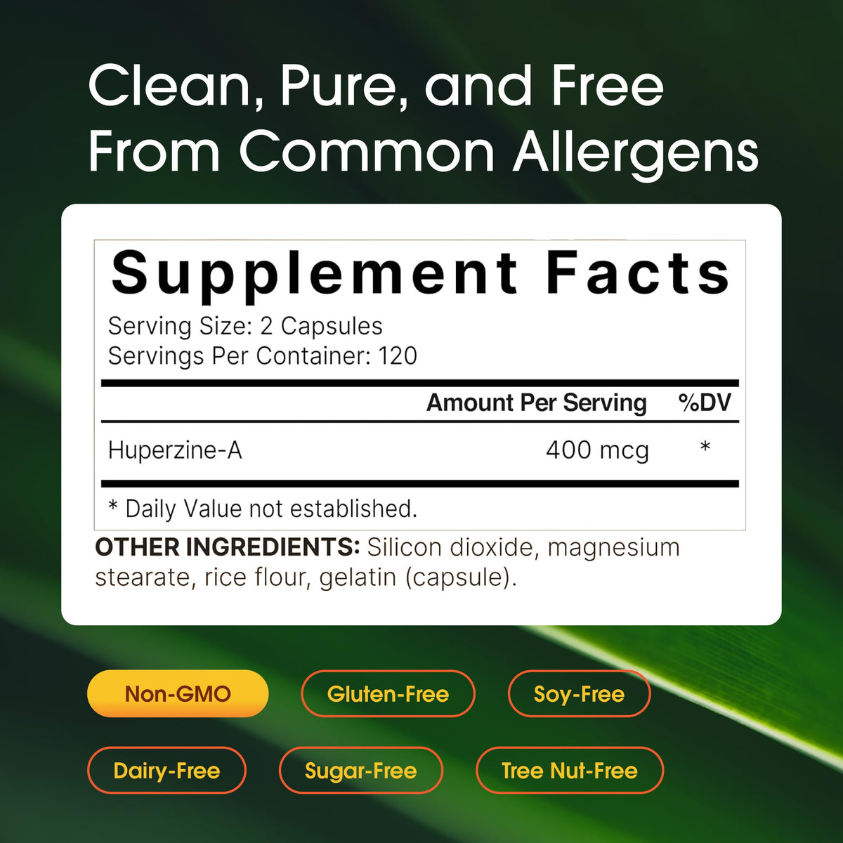 NatureBell Huperzine A 400mcg Brain Support - 240 Capsules - image 3