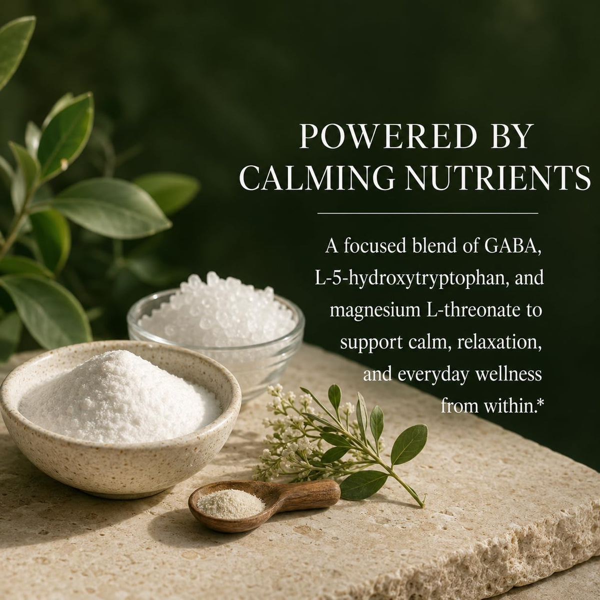 Green Organic Supplements GABA Plus - 90 Capsules - image 2