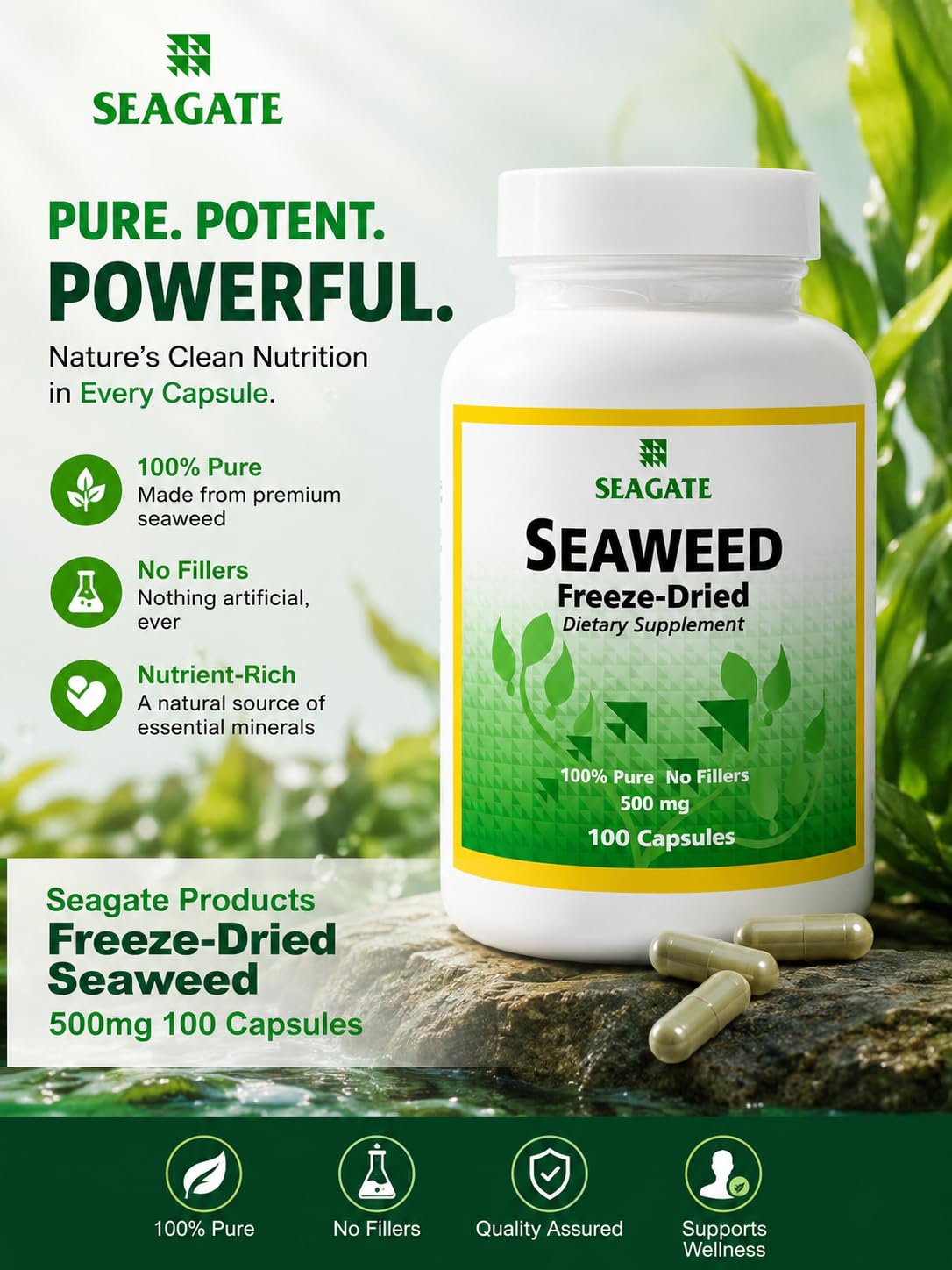 Seagate Freeze-Dried Seaweed 500 mg - 100 Capsules - image 2