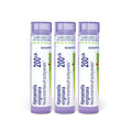 Boiron Hamamelis Virginiana 200CK Homeopathic Medicine - 240 Pellets