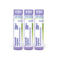 Boiron Hamamelis Virginiana 200CK Homeopathic Medicine - 240 Pellets