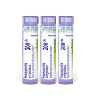 Boiron Hamamelis Virginiana 200CK Homeopathic Medicine - 240 Pellets