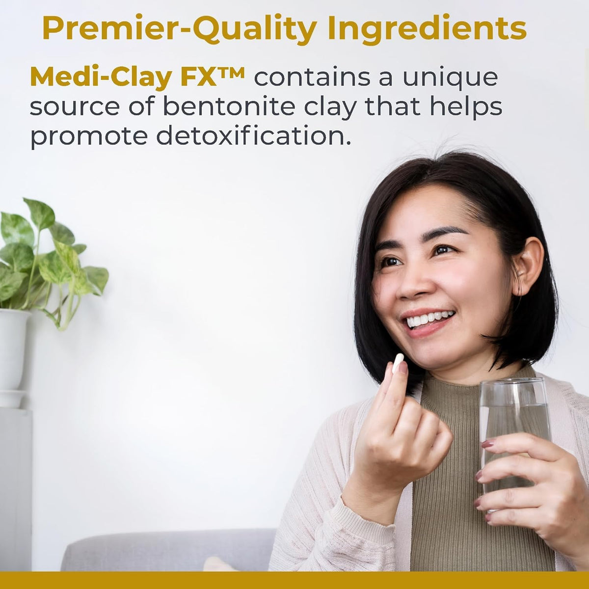 Premier Research Labs Medi-Clay-FX Bentonite Clay - 90 Capsules - image 3