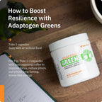 SaltWrap Adaptogen Greens Nootropic Capsules for Stress & Focus - 90 Count - image 5