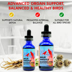 Morning Bird Milk Thistle & Dandelion Extract Liver Support - 1 fl oz - image 7