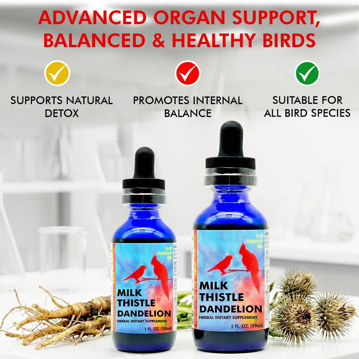 Morning Bird Milk Thistle & Dandelion Extract Liver Support - 1 fl oz - image 7