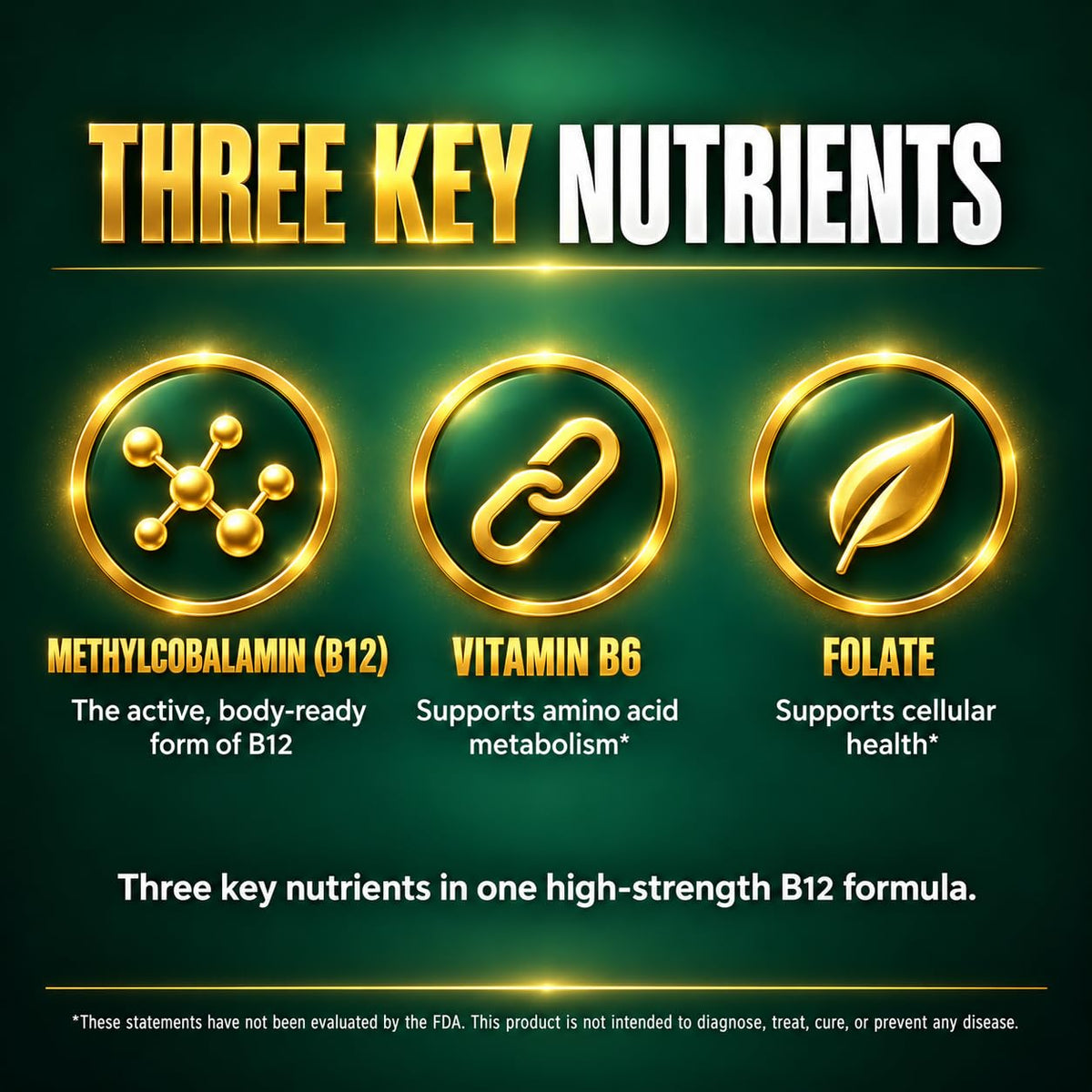Wellgenix Liquid B12 MAX 5000mcg Methyl B12 with B6 & Folate - 2 Pack - image 3
