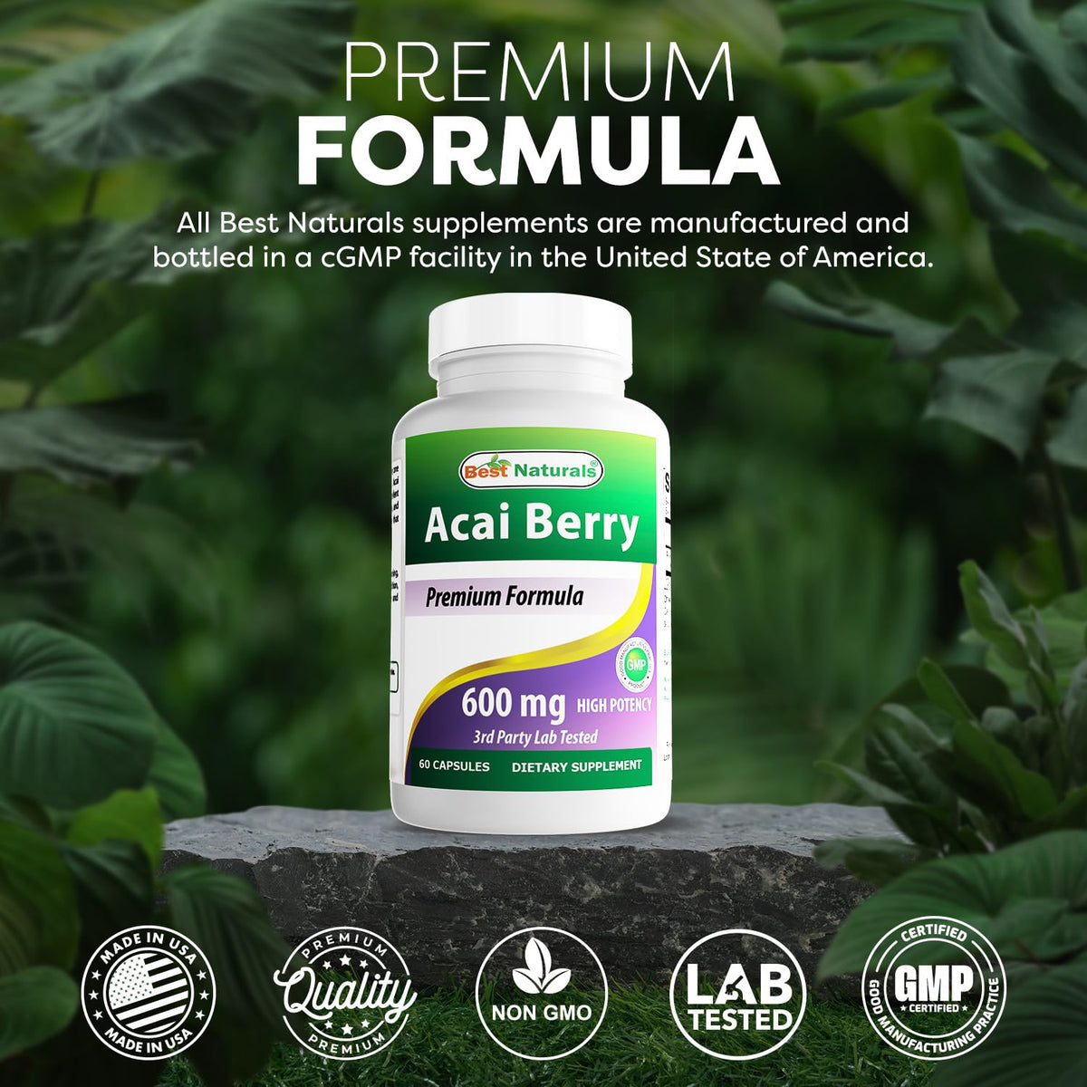 Best Naturals Acai Berry 600 mg 60 Capsules