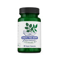 Vitanica Chaste Tree Berry Vitex Extract Plus - 60 Capsules