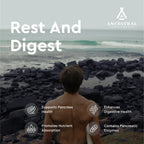 Ancestral Supplements Gut Health