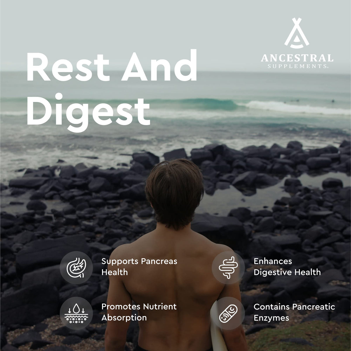 Ancestral Supplements Gut Health
