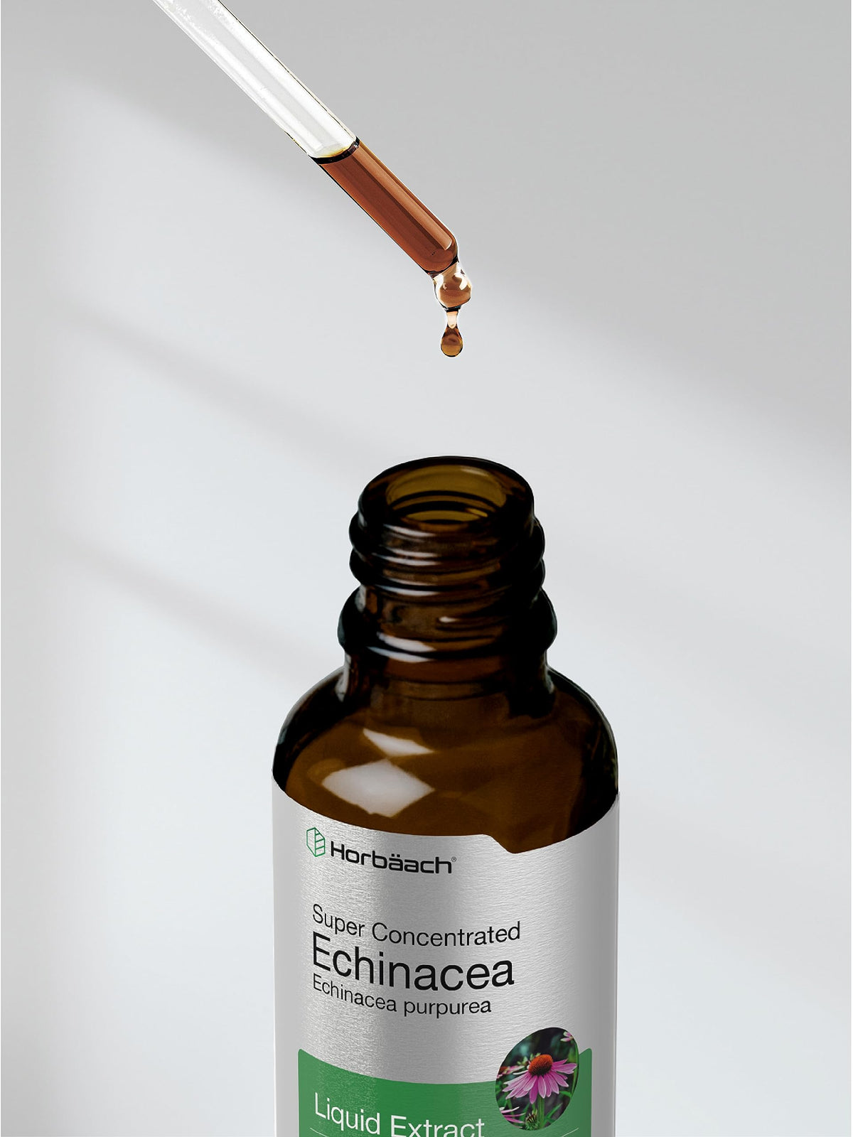 Horbäach Echinacea Drops Herb Tincture - 2 fl oz - image 8