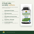 Brieofood Peppermint Oil Complex 250 mg - 240 Capsules - image 2