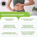 Intestinal Fortitude Gut Health Supplement for Digestive Relief