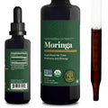 Global Healing Center Moringa Oleifera Liquid Extract Drops - 2 oz