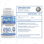 MAAC10 Formulas - NAD+