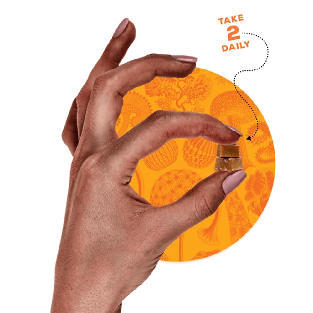 OH MY FUNGI GUMMIES Mushroom Supplement for Brain Health - 60 Gummies - image 2