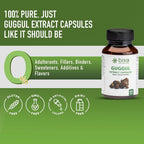 bixa BOTANICAL Guggul Extract 450mg Capsules - 60 Count - image 5