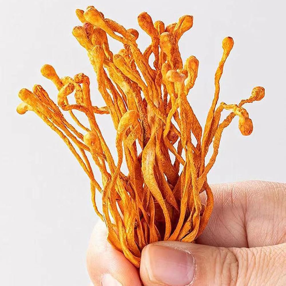 SIFANGDA Cordyceps Flower 虫草花/Dried Cordyceps Mushroom