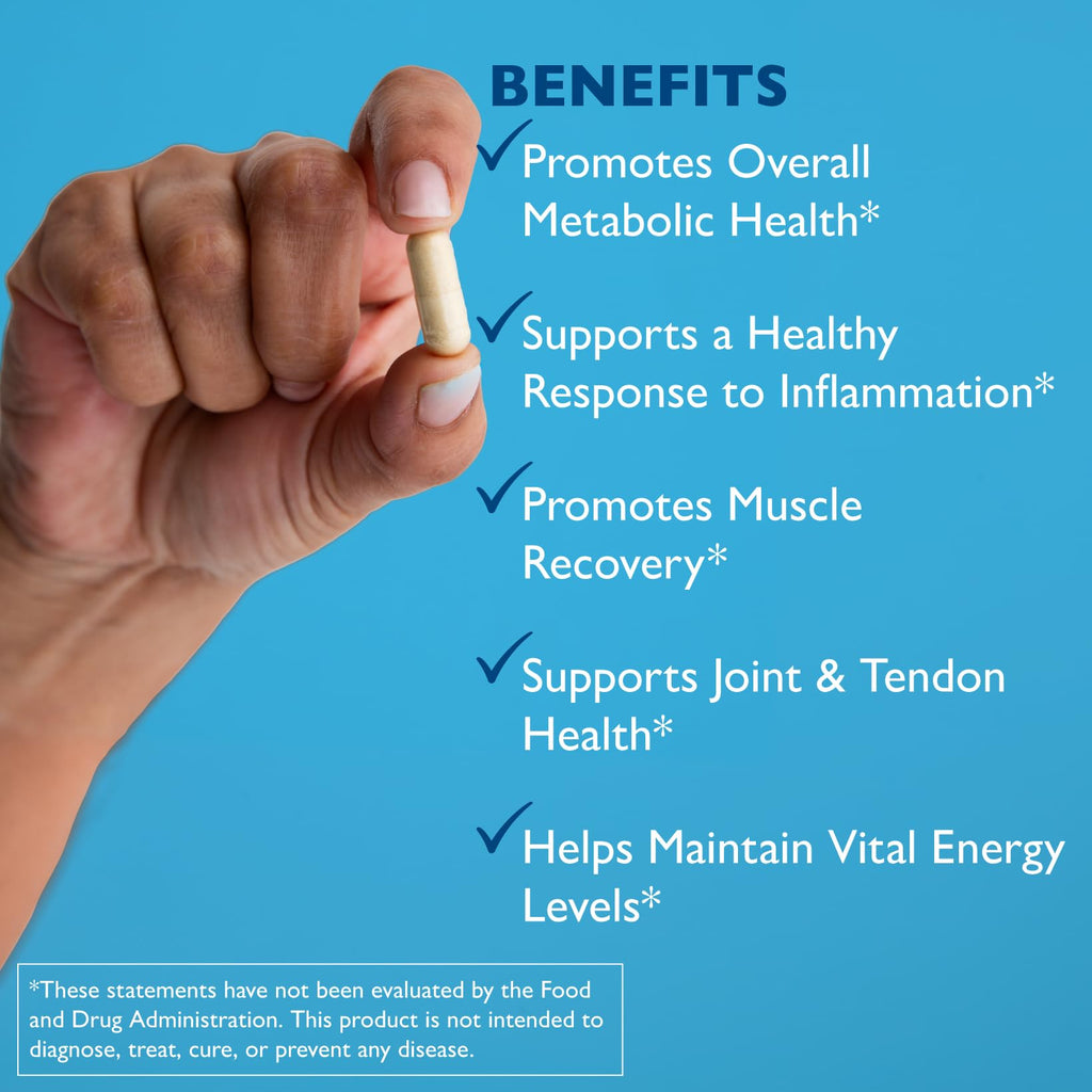 AST Enzymes Excellacor-450 Systemic Enzyme Supplement - 450 Vegetarian Capsules - image 4