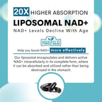 Maripolio Liposomal NAD+ 1000 mg Supplement - image 7