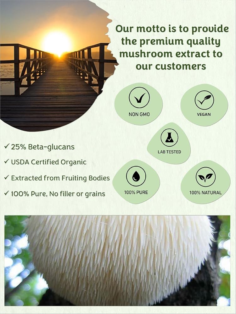 Mushroom Orbit Lion's Mane Organic Mushroom Extract Powder - 120g - image 3