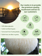 Mushroom Orbit Lion's Mane Organic Mushroom Extract Powder - 120g - image 3