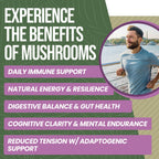 Perfect Supplements Mushroom Immunity - 90 Capsules - image 4