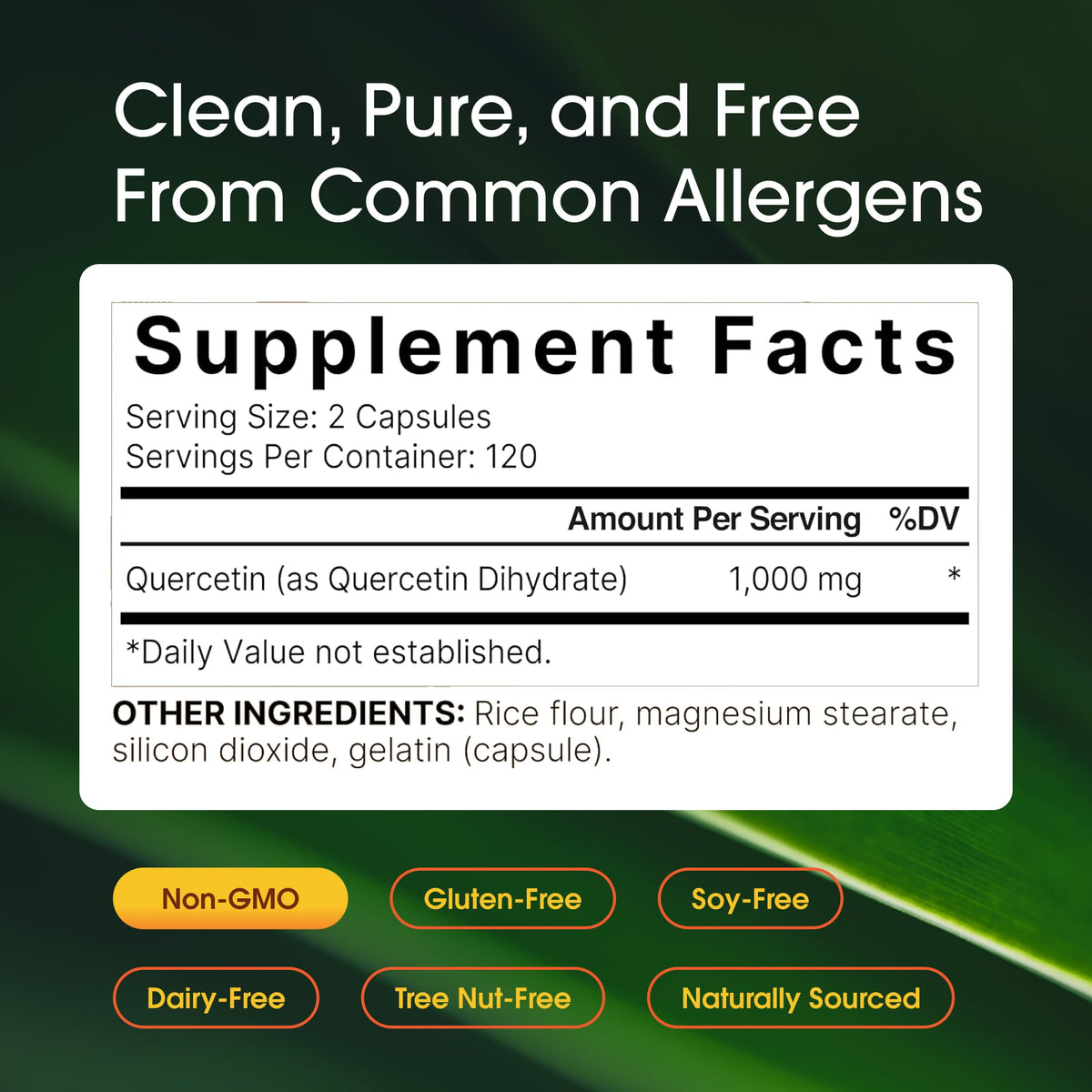 NatureBell Quercetin 1,000mg - 240 Capsules - image 3