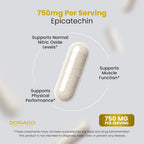 DORADO NUTRITION Epicatechin Extract 750mg - 60 Capsules - image 4