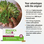 Cellavent Brassica Plus Sulforaphane Capsules - 30 Count - image 3