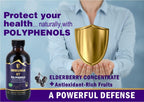 Immunia 67 polyphenols - Elderberry Concentrate with Wild Blueberry.
