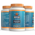 Strong Brain Ultra Nootropic for Cognitive Support & Focus - 90 Capsules