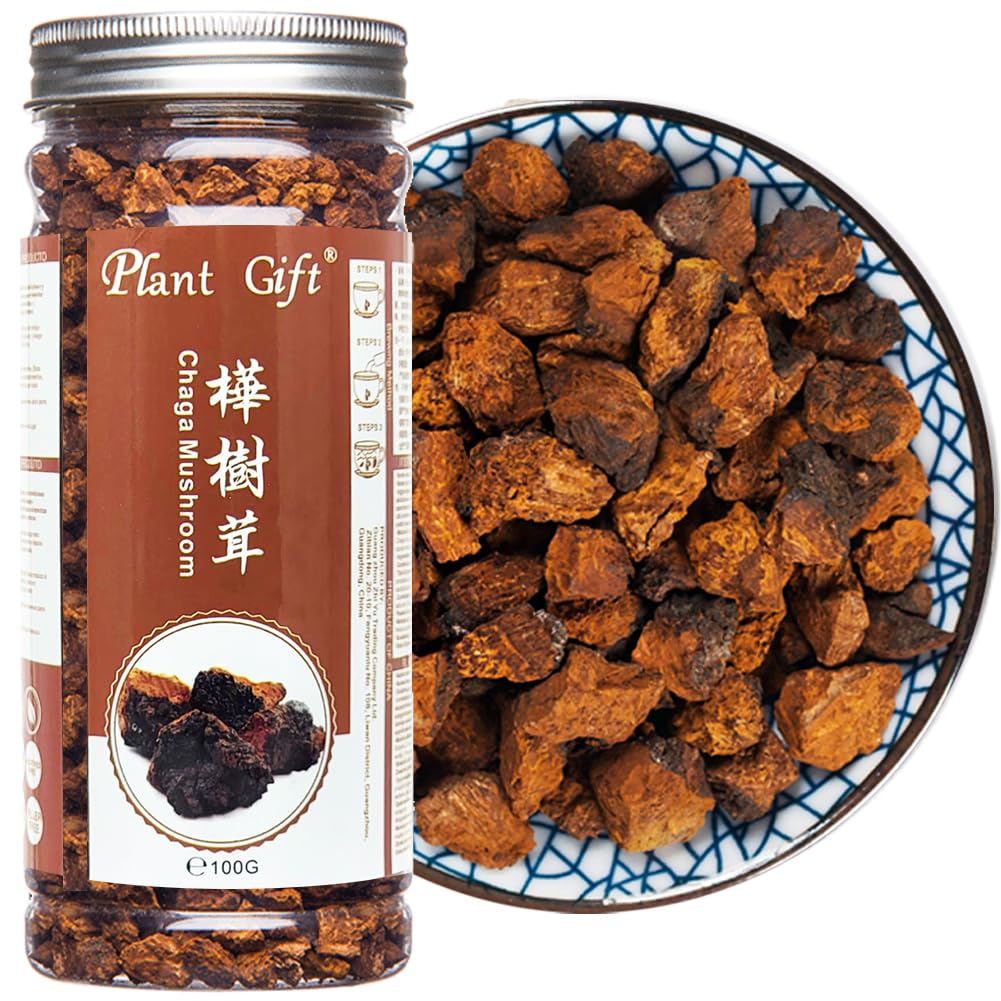 Plant Gift Chaga Mushroom Tea Chunks - 125g