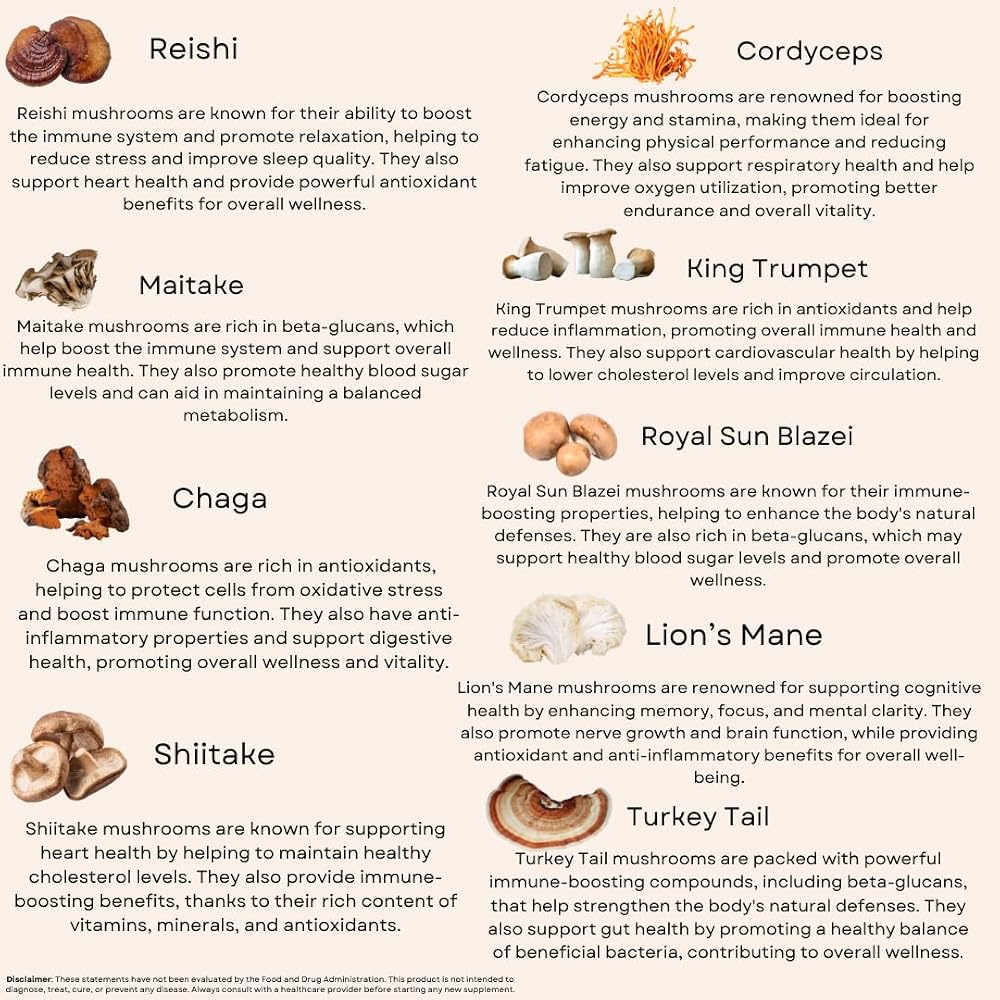 Sacred Tree Naturals Organic Mushroom Immune Support - 60 Capsules - image 4