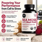 Atlantic Naturals Sea Moss Dietary Supplement - 120 Count Vegetable