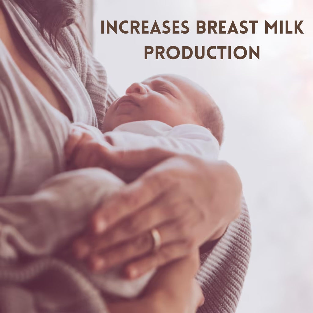 Hebhac Herbs Fenugreek Capsules for Lactation Support - 60 Capsules - image 5