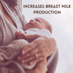Hebhac Herbs Fenugreek Capsules for Lactation Support - 60 Capsules - image 5