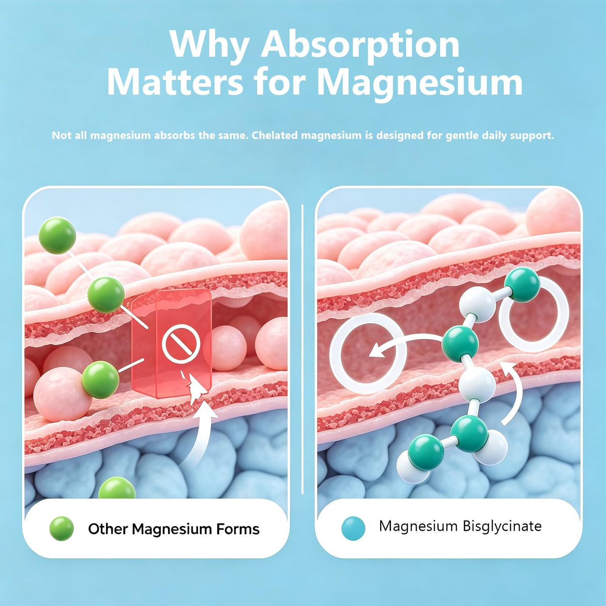 MAYLOR Magnesium Bisglycinate Gummies - 60 Gummies - image 4