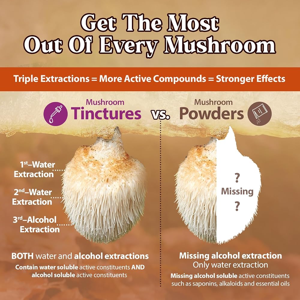 Dragon Herbs Lion's Mane Drops Mushroom Supplement Brain Support - 2 fl oz - image 6