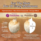 Dragon Herbs Lion's Mane Drops Mushroom Supplement Brain Support - 2 fl oz - image 6